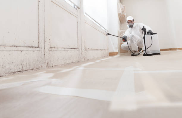 24/7 Emergency Attic Mold Removal experts in Farmville, VA