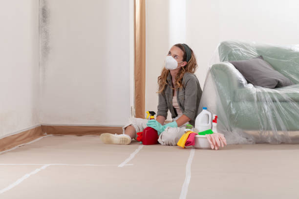 Reliable Attic Mold Removal contractor in Farmville, VA by WQB Mold Removal
