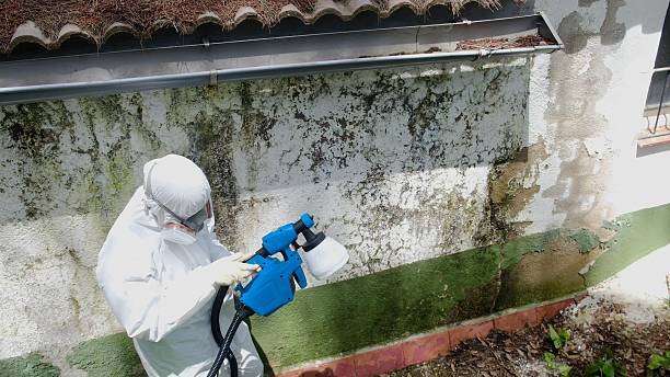 Top rated local Attic Mold Removal specialists in Farmville, VA